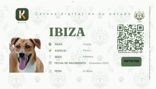 Frente del carnet físico Kolita